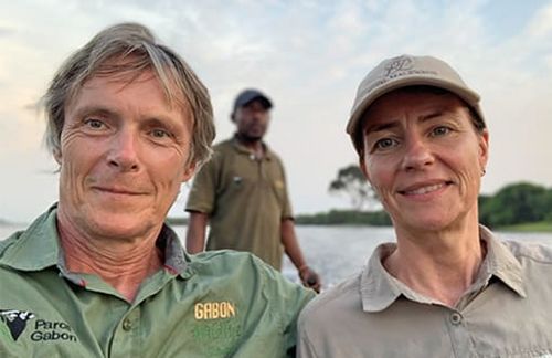 ZU-Gastwissenschaftlerin Angelica V. Marte und der Sozial- und Kulturanthropologe Werner Zips sind leidenschaftliche Filmemacher. Zuletzt waren sie für die Dokumentation „Gabun – Der Schatz im Regenwald“ zu Besuch bei Waldelefanten, Flachlandgorillas, Mandrillen und andere bedrohte Tierarten – vor allem im Nationalpark Loango, rund 300 Kilometer von der Hauptstadt Libreville entfernt. Der etwa 1.550 Quadratkilometer große Park wurde 2002 durch den Zusammenschluss des Iguela- sowie des Loango-Reservats gegründet. Er ist einer von 13 Nationalparks in Gabun, die der Umstrukturierung der Wirtschaft dienen sollen: weg von den langsam versiegenden Öleinnahmen hin zum Ökotourismus. Zusammen nehmen sie 10 Prozent der Gesamtfläche Gabuns ein.