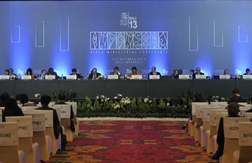 Auf der WTO-Ministerkonferenz 2013 in Bali einigte man sich auf ein Welthandelsabkommen. Doch das ist eher die Ausnahme: Denn immer wieder blockieren nationalstaatliche Einzelinteressen globale Abkommen und damit notwendige Reformen.