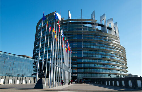 Hier soll's hingehen: Das Europäische Parlament in Straßburg wird im Mai 2014 neu besetzt. Dann könnten hier nach dem Wegfall der Drei-Prozent-Hürde auch Spaßparteien oder Extremisten sitzen.