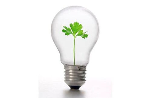 Energiesparlampen als Standard werden von den Verbrauchern bevorzugt, wenn das zu dem Vorgaben des Hausbaus zählt.