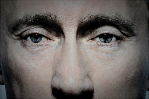 Die Augen von Putin sind kalt und kaum zu deuten - so scheint auf einem der Pressebilder des Jahres 2008, das mit 200 anderen Fotos auf eine Welttournee auch in Moskau gastierte. 
