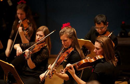 67% der Studienanfänger an Musikhochschulen wollen später mit einer Festanstellung in einem staatlichen Orchester spielen. Dabei unterschätzen sie nicht nur die Wahrscheinlichkeit mit der sich dieser Wunsch erfüllen wird, sondern verlieren zudem Berufschancen abseits der traditionellen Möglichkeiten aus dem Blickfeld.