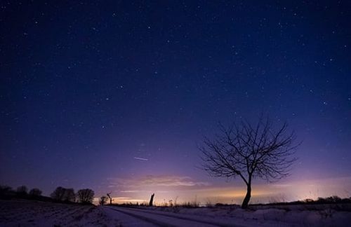 Plädoyer für eine "Stille Nacht"