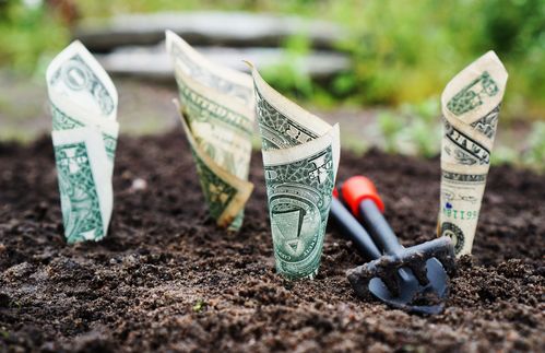 Wenn die bargeldliebenden Deutschen könnten, so würden sie ihre Scheine sogar im Garten vergraben, um sie bald von einem blühenden Baum ernten zu können. Die Leidenschaft fürs Bargeld geht besonders zu Lasten der Konjunktur – denn für sie ist die Sparerei Gift. Zentralbanken suchen schon jetzt nach Wegen, Sparer dazu zu bewegen, ihr Geld auszugeben. Eine denkbare Spielart wären Negativzinsen, mit denen gehortetes Geld schlicht an Wert verlieren würde. Doch Sparer können das Instrument einfach aushebeln, ihr Geld abheben und sprichwörtlich unter dem heimischen Kopfkissen bunkern. Geht es nach Deutsche Bank-Chef John Cryan wird der Sparer dazu in spätestens zehn Jahren keine Chance mehr haben. Beim Weltwirtschaftsforum 2016 in Davos kündigte der Spitzenbanker vollmundig an: „In zehn Jahren wird Bargeld wahrscheinlich nicht mehr existieren. Es ist einfach schrecklich ineffizient.“