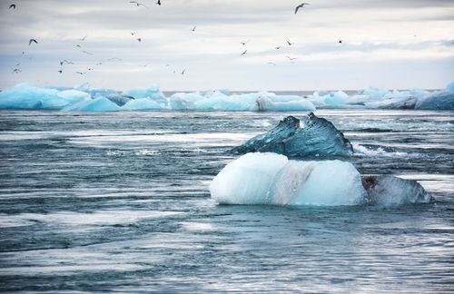 Der Zeitpunkt, an dem die Folgen der Erderwärmung nicht mehr rückgängig zu machen sind, könnte schneller kommen als bisher gedacht. Davor haben sieben Klimaforscher in einem Kommentar im Fachblatt „Nature“ im Dezember vergangenen Jahres gewarnt – darunter Hans Joachim Schellnhuber, ehemaliger Leiter des Potsdam-Instituts für Klimafolgenforschung (PIK). Sie mahnen, dass sogenannte Kipppunkte im Erdsystem früher eintreten könnten als bisher angenommen und Kettenreaktionen zur Folge hätten. Die Kipppunkte bezeichnen Veränderungen in einem System mit unumkehrbaren Folgen für das globale Gleichgewicht, zum Beispiel ein nicht mehr zu stoppendes Abschmelzen der Polkappen oder die Zerstörung von Korallenriffen. Vor knapp zwei Jahrzehnten ging der Weltklimarat IPCC noch davon aus, dass dafür eine Erderwärmung von fünf Grad Celsius im Vergleich zum vorindustriellen Zeitalter nötig wäre. Nun betonen die Klimaforscher, dass Kipppunkte nach neuesten Erkenntnissen des Weltklimarates IPCC schon bei 1 bis 2 Grad Temperatursteigerung überschritten werden können. „Die Erwärmung muss bei 1,5 Grad begrenzt werden“, betonen die Autoren.