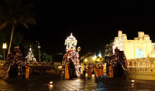 Kein Bollywood-Regisseur könnte diese Inszenierung schlagen. Vor dem palastartigen Sri Dalada Maligawa – dem sogenannten „Zahntempel“ von Kandy – warten die heiligen Elefanten auf den Beginn der festlichen Prozession. Allabendlich wird die heiligste Reliquie des Landes – oder wenigstens ihre Aufbewahrungshülle – durch die Straßen getragen. Das farbenprächtige Spektakel erinnert die sri-lankische Bevölkerung an die alte Zeit des Königtums und die Ursprünge des Buddhismus.