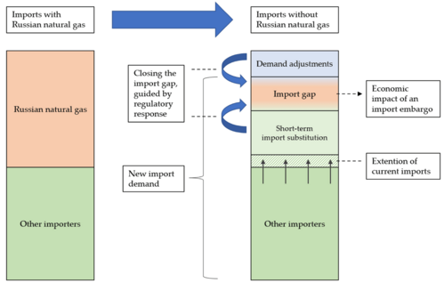 Methodisches Framework: Übergang von einem Importportfolio mit russischem Erdgas zu einem Portfolio ohne russisches Erdgas durch Importsubstitution und Verbrauchsanpassungen.