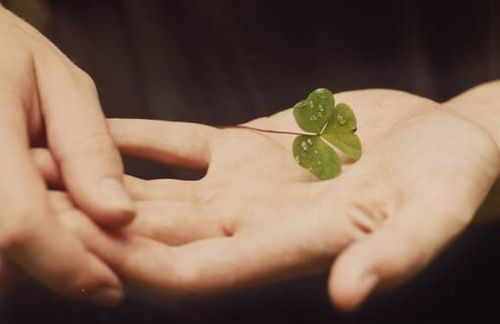 "Wenn das Ziel, permanent das eigene Glücksbefinden zu steigern, zur fixen Idee wird, artet dies im Endeffekt in Stress und Enttäuschungen aus."