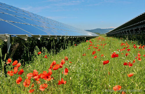 Der Solarpark deckt den Haushaltsstrombedarf der Gemeinden Wahlwies, Espasingen und Bodman-Ludwigshafen.